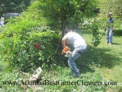 Kennesaw's Best Gutter Cleaners does tree pruning of limbs coming in range of the gutters.